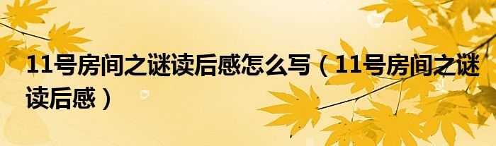 11号房间之谜读后感怎么写(11号房间之谜读后感)