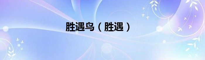 胜遇鸟（胜遇）