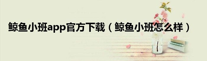 鲸鱼小班app官方下载(鲸鱼小班怎么样)