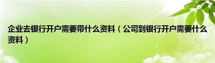 企业去银行开户需要带什么资料(公司到银行开户需要什么资料)