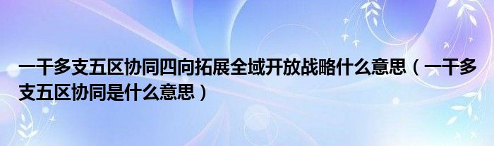 一干多支五区协同四向拓展全域开放战略什么意思(一干多支五区协同是什么意思)