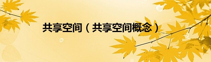 共享空间(共享空间概念)