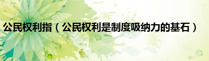 公民权利指(公民权利是制度吸纳力的基石)