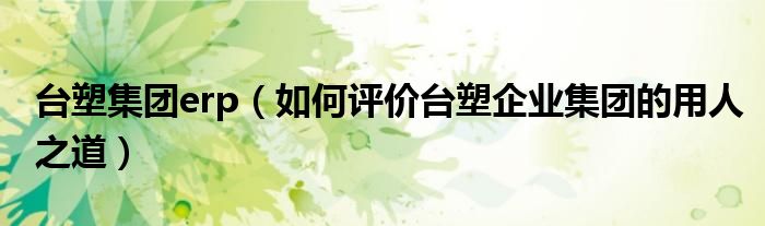 台塑集团erp(如何评价台塑企业集团的用人之道)