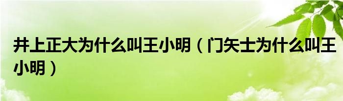 井上正大为什么叫王小明(门矢士为什么叫王小明)