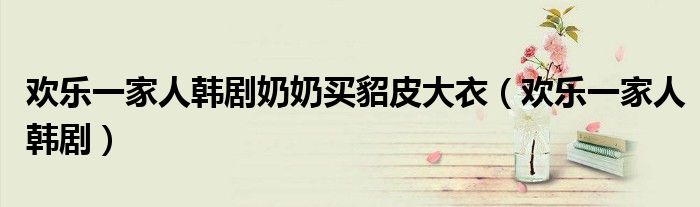欢乐一家人韩剧奶奶买貂皮大衣(欢乐一家人韩剧)