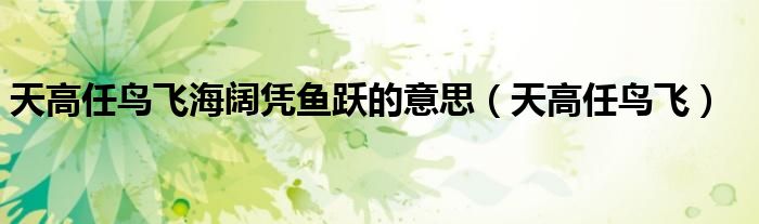 天高任鸟飞海阔凭鱼跃的意思(天高任鸟飞)