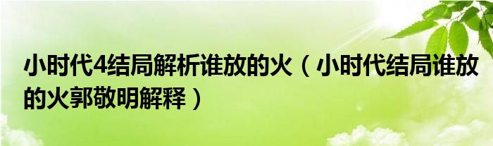小时代4结局解析谁放的火(小时代结局谁放的火郭敬明解释)