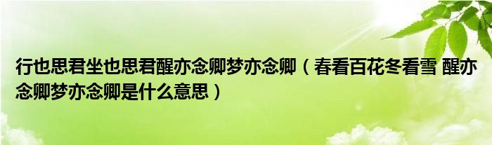 行也思君坐也思君醒亦念卿梦亦念卿(春看百花冬看雪 醒亦念卿梦亦念卿是什么意思)
