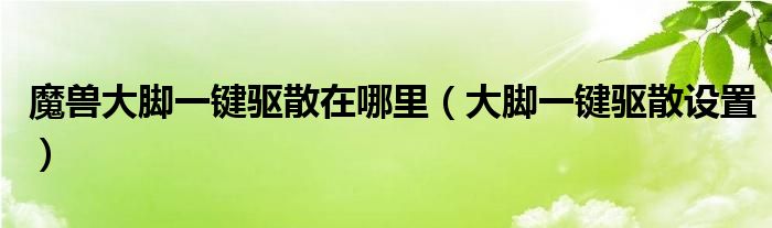 魔兽大脚一键驱散在哪里(大脚一键驱散设置)