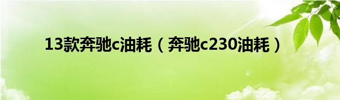 13款奔驰c油耗(奔驰c230油耗)