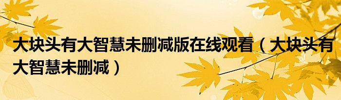 大块头有大智慧未删减版在线观看（大块头有大智慧未删减）