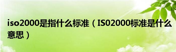 iso2000是指什么标准(IS02000标准是什么意思)