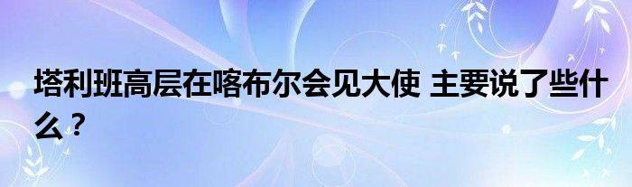 塔利班高层在喀布尔会见大使 主要说了些什么？