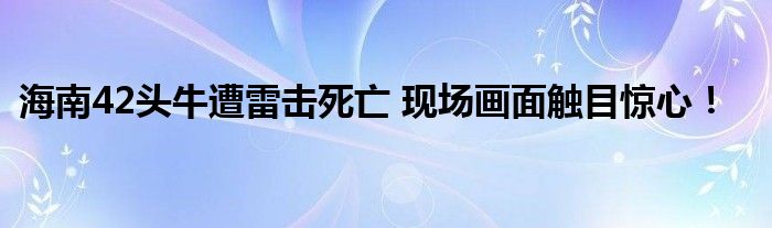 海南42头牛遭雷击死亡 现场画面触目惊心!