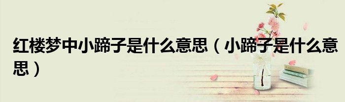 红楼梦中小蹄子是什么意思（小蹄子是什么意思）