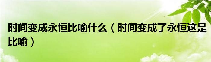 时间变成永恒比喻什么（时间变成了永恒这是比喻）