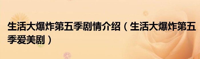 生活大爆炸第五季剧情介绍（生活大爆炸第五季爱美剧）