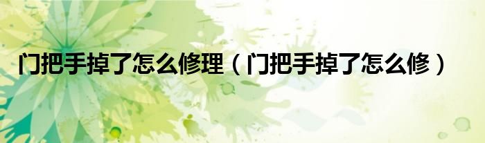 门把手掉了怎么修理(门把手掉了怎么修)
