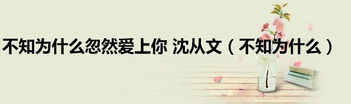 不知为什么忽然爱上你 沈从文（不知为什么）