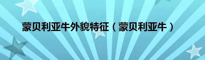 蒙贝利亚牛外貌特征(蒙贝利亚牛)