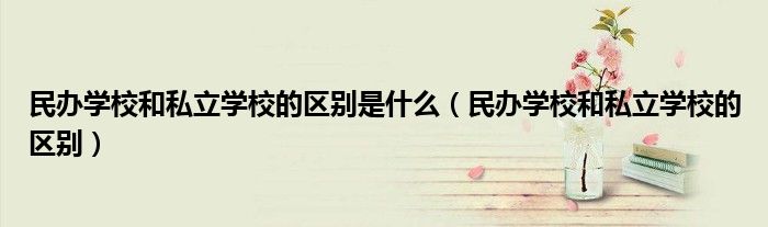 民办学校和私立学校的区别是什么（民办学校和私立学校的区别）