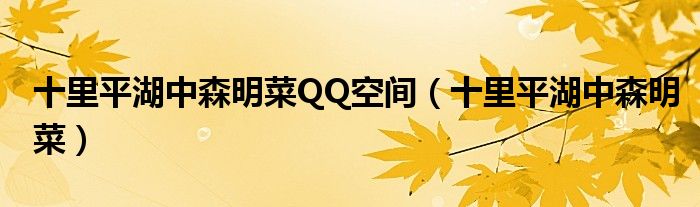 十里平湖中森明菜QQ空间(十里平湖中森明菜)