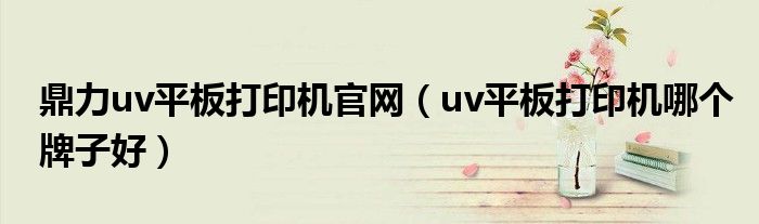 鼎力uv平板打印机官网（uv平板打印机哪个牌子好）