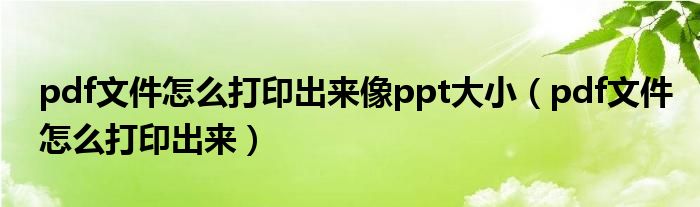 pdf文件怎么打印出来像ppt大小(pdf文件怎么打印出来)
