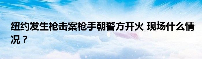 纽约发生枪击案枪手朝警方开火 现场什么情况?