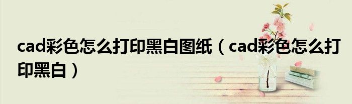 cad彩色怎么打印黑白图纸(cad彩色怎么打印黑白)
