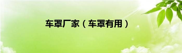 车罩厂家（车罩有用）