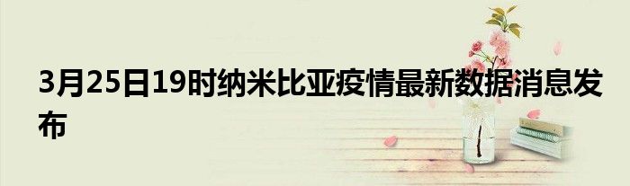 3月25日19时纳米比亚疫情最新数据消息发布