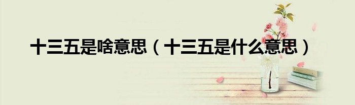 十三五是啥意思(十三五是什么意思)