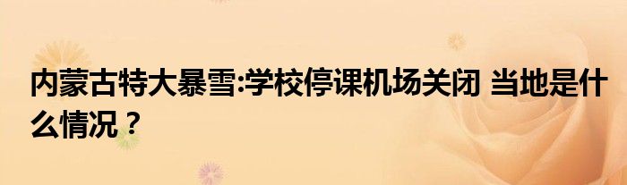 内蒙古特大暴雪:学校停课机场关闭 当地是什么情况？