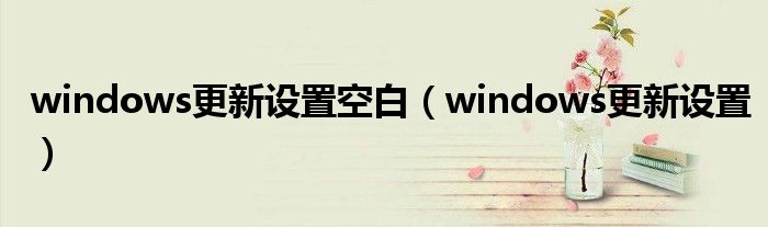 windows更新设置空白(windows更新设置)