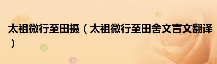 太祖微行至田摄（太祖微行至田舍文言文翻译）