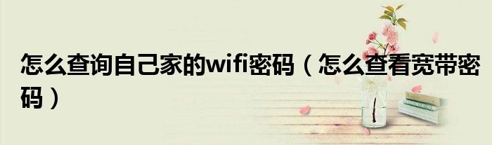 怎么查询自己家的wifi密码(怎么查看宽带密码)