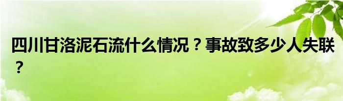 四川甘洛泥石流什么情况？事故致多少人失联？