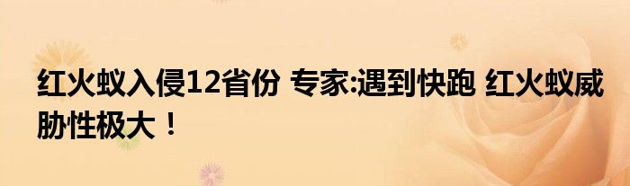 红火蚁入侵12省份 专家:遇到快跑 红火蚁威胁性极大!