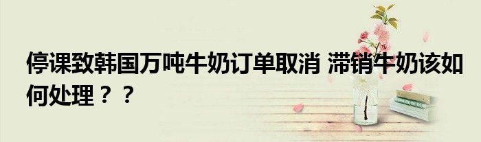 停课致韩国万吨牛奶订单取消 滞销牛奶该如何处理？？
