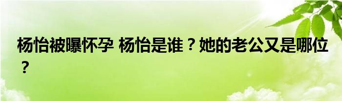 杨怡被曝怀孕 杨怡是谁?她的老公又是哪位?