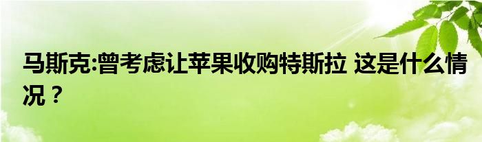 马斯克:曾考虑让苹果收购特斯拉 这是什么情况?