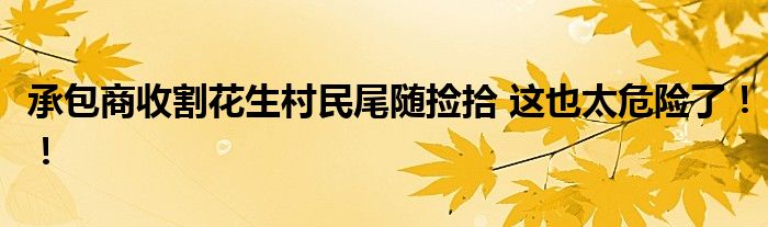 承包商收割花生村民尾随捡拾 这也太危险了!!