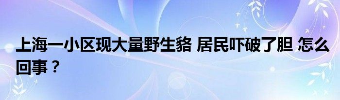 上海一小区现大量野生貉 居民吓破了胆 怎么回事？