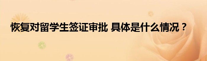 恢复对留学生签证审批 具体是什么情况？