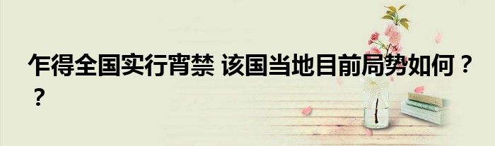 乍得全国实行宵禁 该国当地目前局势如何??