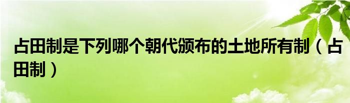 占田制是下列哪个朝代颁布的土地所有制(占田制)