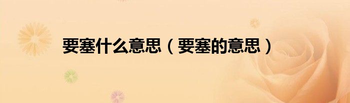要塞什么意思(要塞的意思)