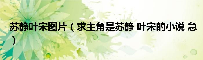苏静叶宋图片(求主角是苏静 叶宋的小说 急)